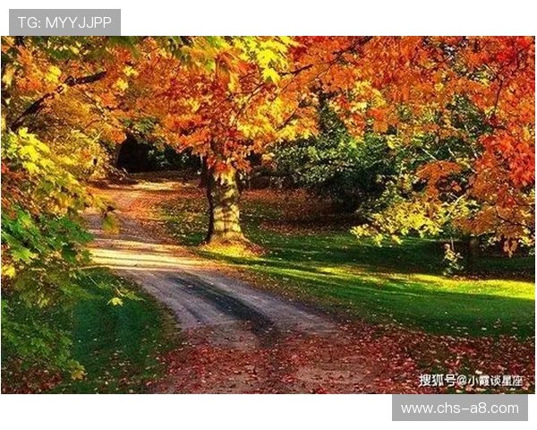 开运入口：开启财运与健康的双重门径实现全面幸福生活