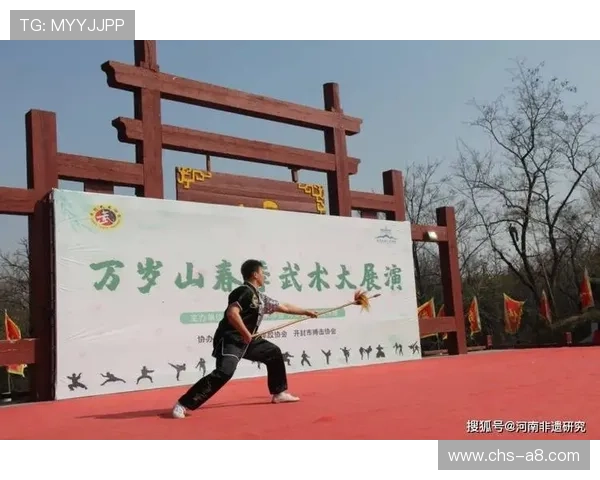 腾龙真人现场演出精彩瞬间，感受传统武术的非凡魅力体验