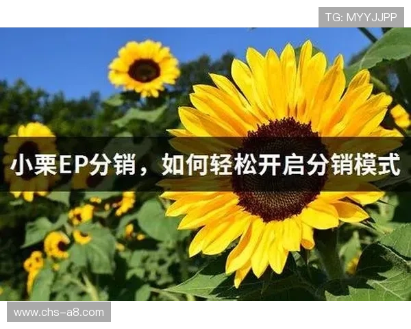 在米兰真人娱乐平台上如何快速注册与充值，轻松开启你的线上真人娱乐之旅